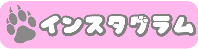 大阪心斎橋コンカフェephemeral-エフェメラル-instagram